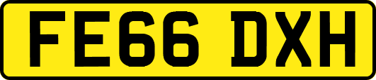 FE66DXH