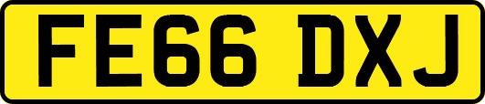 FE66DXJ