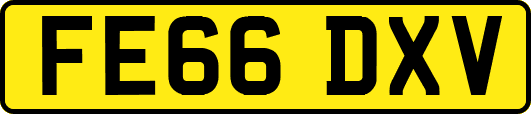 FE66DXV