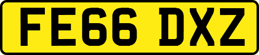 FE66DXZ