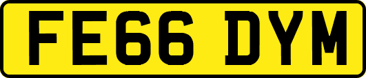 FE66DYM