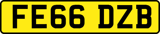 FE66DZB