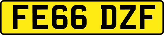 FE66DZF