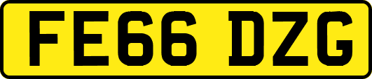 FE66DZG