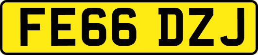 FE66DZJ
