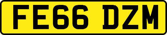 FE66DZM