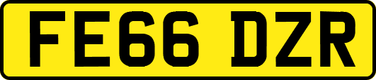 FE66DZR