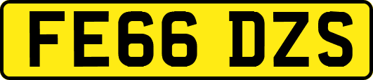 FE66DZS