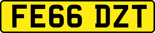 FE66DZT