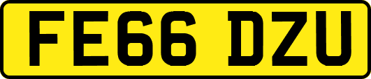 FE66DZU