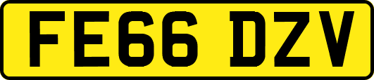 FE66DZV