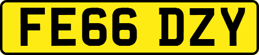 FE66DZY