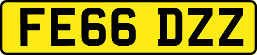 FE66DZZ
