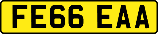 FE66EAA