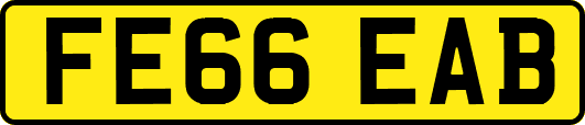 FE66EAB