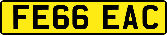 FE66EAC