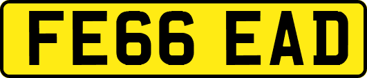 FE66EAD
