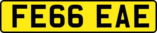 FE66EAE