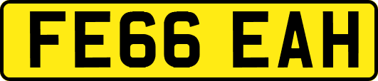 FE66EAH
