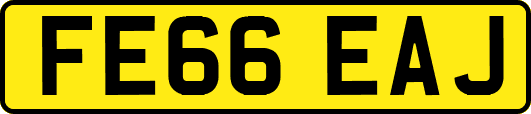 FE66EAJ