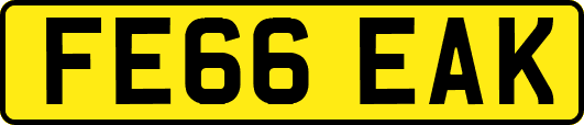 FE66EAK