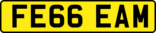 FE66EAM