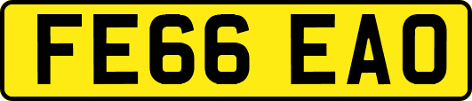 FE66EAO