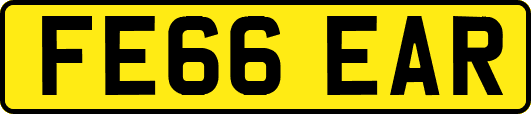 FE66EAR