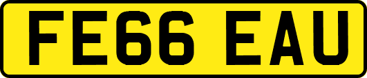 FE66EAU