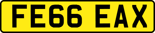 FE66EAX