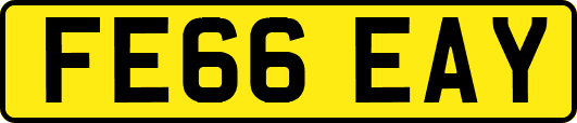 FE66EAY