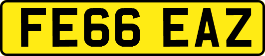 FE66EAZ