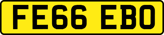 FE66EBO