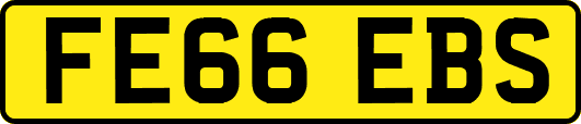 FE66EBS