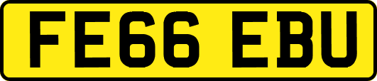 FE66EBU