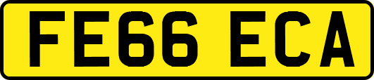 FE66ECA
