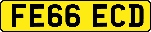 FE66ECD