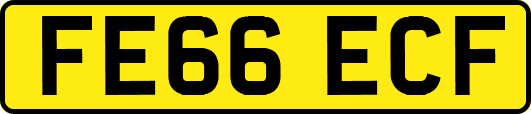 FE66ECF
