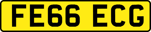 FE66ECG