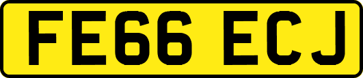 FE66ECJ