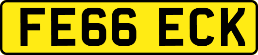 FE66ECK