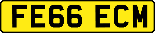 FE66ECM