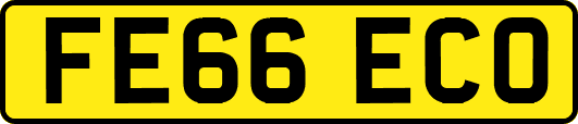 FE66ECO