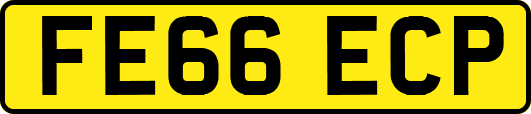 FE66ECP