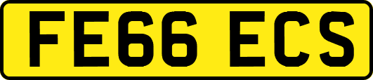 FE66ECS