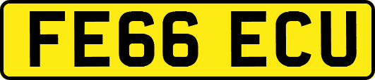FE66ECU
