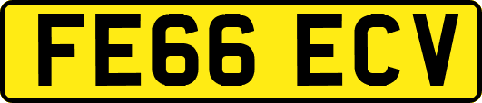 FE66ECV