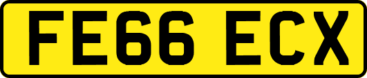 FE66ECX