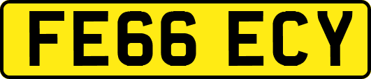 FE66ECY