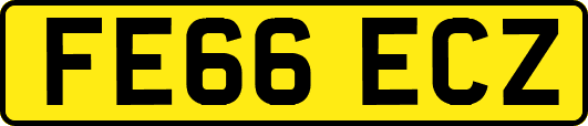 FE66ECZ